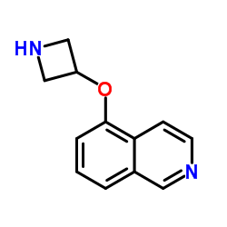 Isoquinoline, 5-(3-azetidinyloxy)- (9CI) picture