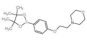 N-(2-Morpholinoethyl)-4-(4,4,5,5-tetramethyl-1,3,2-dioxaborolan-2-yl)benzamide picture