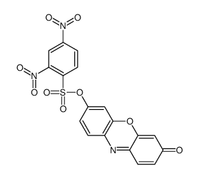 (7-oxophenoxazin-3-yl) 2,4-dinitrobenzenesulfonate Structure