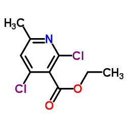 Ethyl 2,4-dichloro-6-methylnicotinate picture