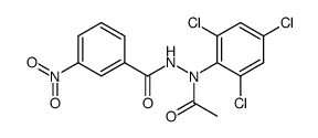 N-acetyl-N'-(3-nitro-benzoyl)-N-(2,4,6-trichloro-phenyl)-hydrazine结构式