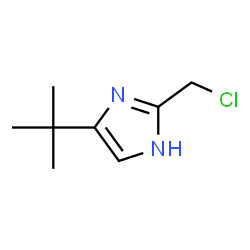 1H-Imidazole,2-(chloromethyl)-5-(1,1-dimethylethyl)- structure