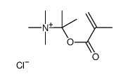 trimethyl[1-methyl-1-[(2-methyl-1-oxoallyl)oxy]ethylammonium chloride structure