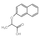 2-(2-naphthyloxy)propanoic acid picture