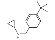 N-[(4-tert-butylphenyl)methyl]cyclopropanamine结构式