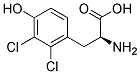 (S)-2-AMINO-3-(2,3-DICHLORO-4-HYDROXY-PHENYL)-PROPIONIC ACID结构式