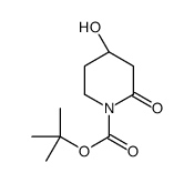 (S)-tert-Butyl 4-hydroxy-2-oxopiperidine-1-carboxylate结构式