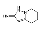 4,5,6,7-tetrahydropyrazolo[1,5-a]pyridin-2-amine structure