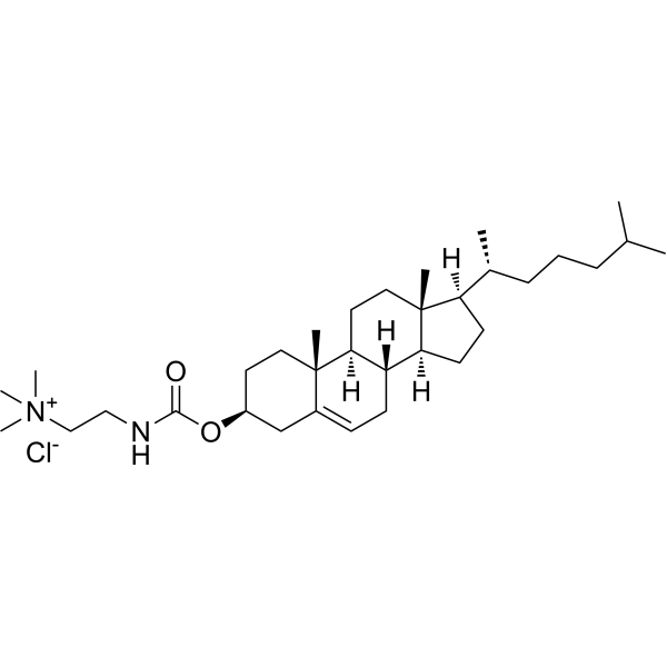 Cholesteryl N-(trimethylammonioethyl)carbamate chloride structure