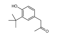 1-[4-Hydroxy-3-(2-methyl-2-propanyl)phenyl]acetone Structure