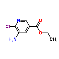 5-Amino-6-chloro-3-pyridinecarboxylic acid ethyl ester picture