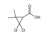 2,2-dichloro-3,3-dimethylcyclopropane-1-carboxylic acid Structure