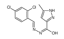 N-[(2,4-dichlorophenyl)methylideneamino]-5-methyl-1H-pyrazole-3-carboxamide结构式