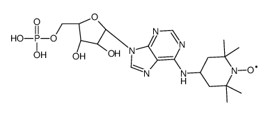 6-(2,2,6,6--tetramethylpiperidine-1-oxyl)-adenosine monophosphate Structure