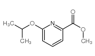 2-Pyridinecarboxylicacid,6-(1-methylethoxy)-,methylester(9CI) picture