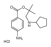 [2-(4-aminobenzoyl)oxy-2-methylpropyl]-cyclopentylazanium,chloride Structure