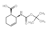 (1R,2s)-boc-2-氨基-3-环己烯羧酸图片