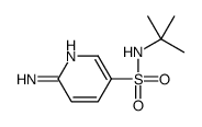 6-amino-N-tert-butylpyridine-3-sulfonamide结构式