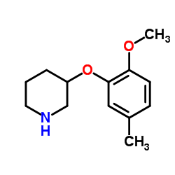 3-(2-Methoxy-5-methylphenoxy)piperidine结构式