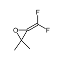 3-(difluoromethylidene)-2,2-dimethyloxirane Structure