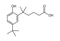 BENZENEPENTANOIC ACID, 5-(1,1-DIMETHYLETHYL)-2-HYDROXY-D,D-DIMETHYL结构式