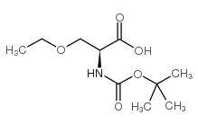 (S)-2-((叔丁氧基羰基)氨基)-3-乙氧基丙酸结构式