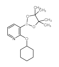 2-Cyclohexyloxypyridine-3-boronic acid pinacol ester picture