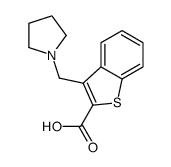 3-(pyrrolidin-1-ylmethyl)-1-benzothiophene-2-carboxylic acid picture