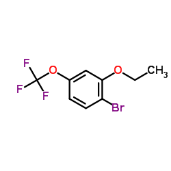 1-Bromo-2-ethoxy-4-(trifluoromethoxy)benzene图片