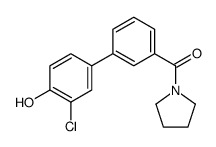 [3-(3-chloro-4-hydroxyphenyl)phenyl]-pyrrolidin-1-ylmethanone Structure