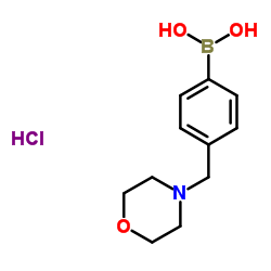 (4-(Morpholinomethyl)phenyl)boronic acid (hydrochloride) Structure