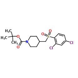 4-(2,4-Dichloro-benzenesulfonylmethyl)-piperidine-1-carboxylic acid tert-butyl ester structure