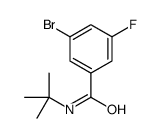 3-bromo-N-tert-butyl-5-fluorobenzamide结构式