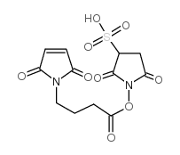 Mal-amino-sulfo structure