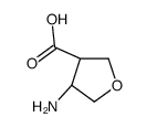 3-Furancarboxylicacid,4-aminotetrahydro-,(3R,4S)-rel-(9CI) structure