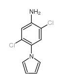 2,5-二氯-4-(1H-吡咯-1-基)苯胺结构式