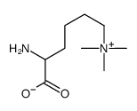 19253-88-4结构式