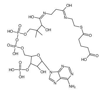 glutaryl-CoA Structure