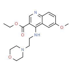 Ethyl 6-methoxy-4-{[2-(4-morpholinyl)ethyl]amino}-3-quinolinecarboxylate structure