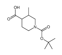 N-Boc-3-甲基-4-哌啶羧酸图片