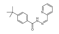 4-tert-butyl-N-[(E)-pyridin-2-ylmethylideneamino]benzamide结构式