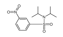 3-nitro-N,N-di(propan-2-yl)benzenesulfonamide Structure