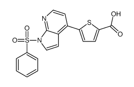 5-[1-(Phenylsulfonyl)-1H-pyrrolo[2,3-b]pyridin-4-yl]-2-thiophenec arboxylic acid Structure