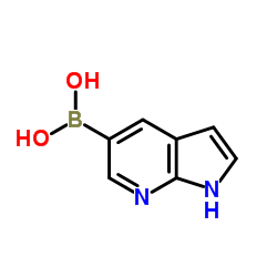 1H-Pyrrolo[2,3-b]pyridin-5-ylboronic acid picture