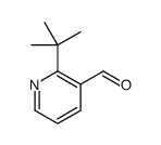 2-(叔丁基)烟醛结构式