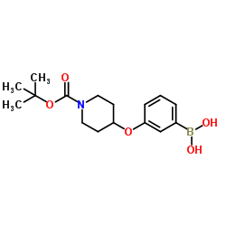 3-(N-BOC-Piperidin-4-yloxy)phenylboronic acid结构式