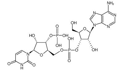 adenylyl-(3'-5')-uridine 3'-monophosphate structure