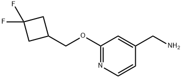 (2-((3,3-difluorocyclobutyl)methoxy)pyridin-4-yl)methanamine structure