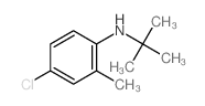 Benzenamine, 4-chloro-N-(1,1-dimethylethyl)-2-methyl-结构式
