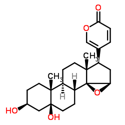 Marinobufogenin Structure